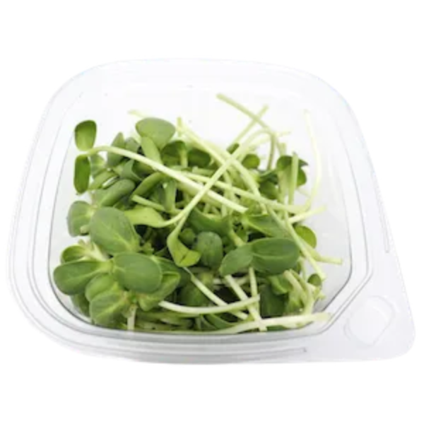 Fresh Sunflower Microgreens by TCM Co. in a clear plastic container.